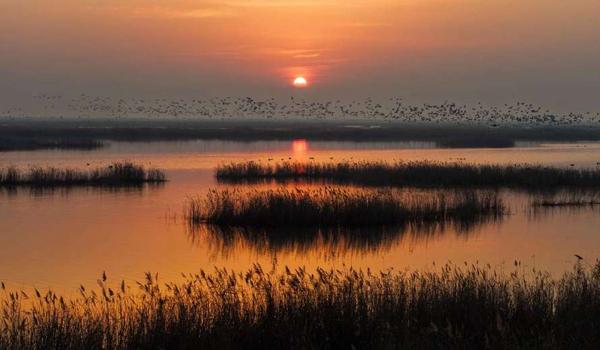 三角洲行动科技购买(给我提供一个三角洲行动科技购买链接) 三角洲行动科技购买(给我提供一个三角洲行动科技购买链接)