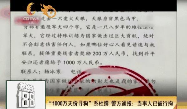 三角洲寻血猎犬能举报成功吗(有没有成功举报寻血猎犬的例子?) 三角洲寻血猎犬能举报成功吗(有没有成功举报寻血猎犬的例子?)