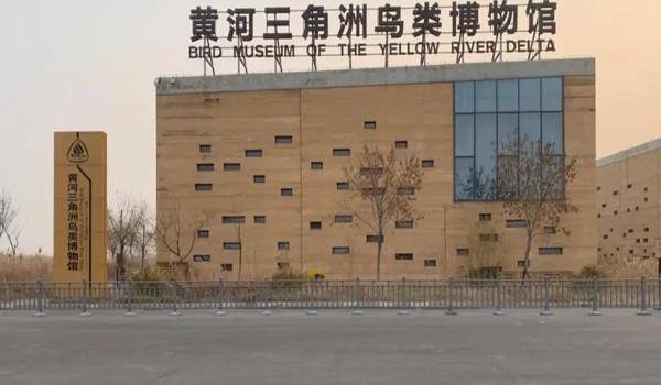 三角洲行动科技在哪下载(给我一个三角洲行动科技器的下载链接) 三角洲行动科技在哪下载(给我一个三角洲行动科技器的下载链接)